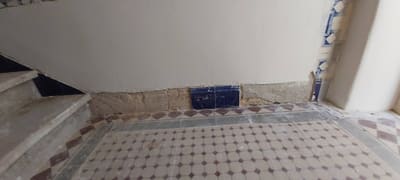 Pavimento em mosaico hidráulico com barra de azulejo, limpo e recuperado.